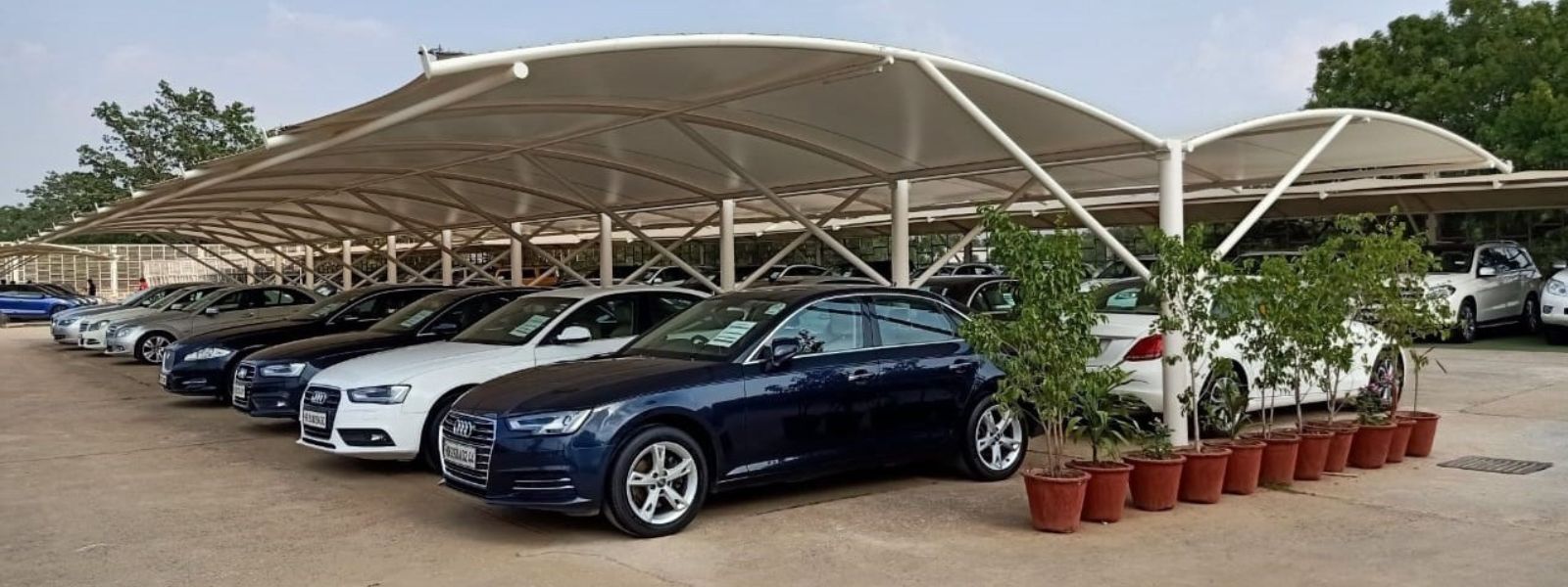 Untitled design (14)